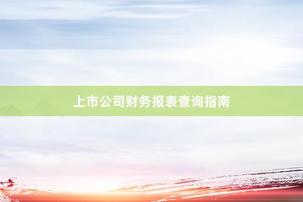 上市公司财务报表查询指南