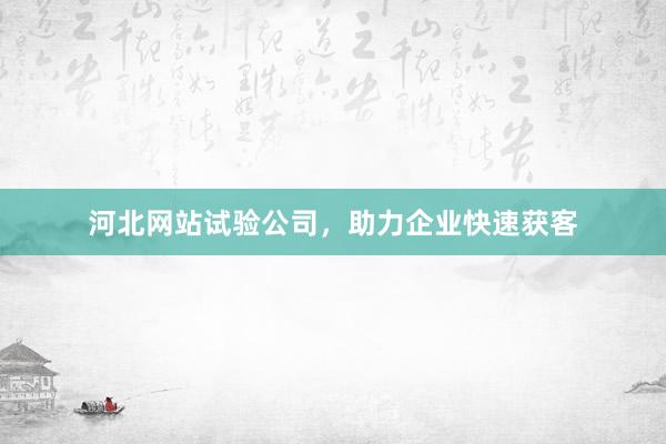 河北网站试验公司，助力企业快速获客