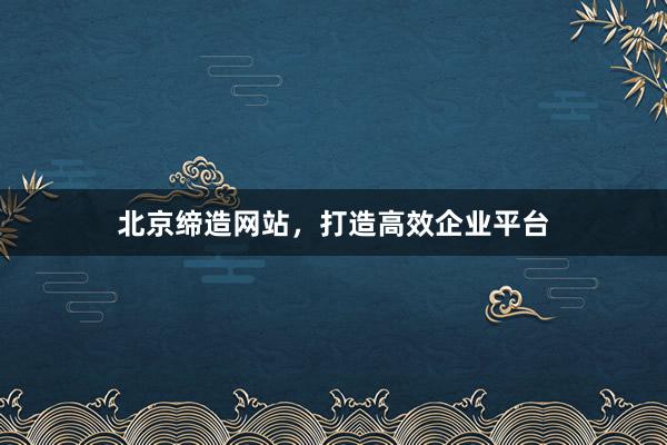 北京缔造网站，打造高效企业平台