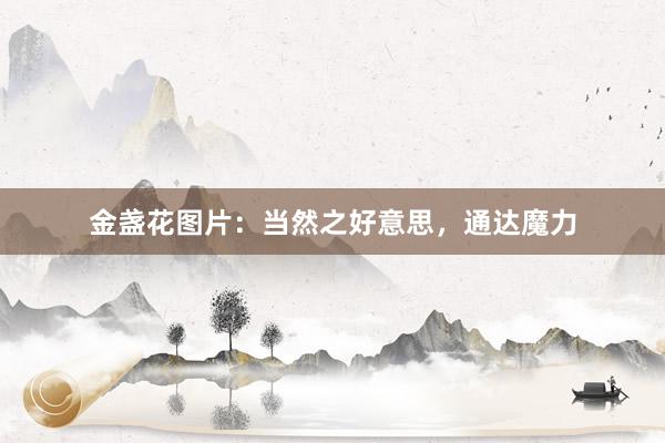 金盏花图片：当然之好意思，通达魔力